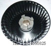 ���䘷��ձ�ɢ���L��